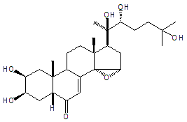 STACHYSTERONE B 14,15-EPOXIDE