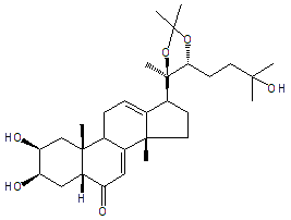 STACHYSTERONE A 20,22-ACETONIDE