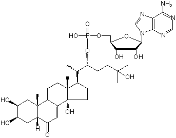 ECDYSONE 22-ADENOSINE-MONOPHOSPHATE