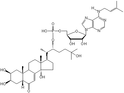 ECDYSONE 22-N6-(ISOPENTENYL)-ADENOSINE-MONOPHOSPHATE