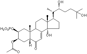 ECDYSONE 3-ACETATE 2-PHOSPHATE