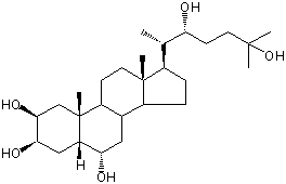 2β,3β,6α,22R,25-PENTAHYDROXY-5β-CHOLESTANE