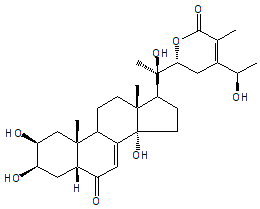 24-DEHYDROPRECYASTERONE