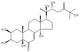 5β-HYDROXY-24(28)-DEHYDRO-MAKISTERONE A