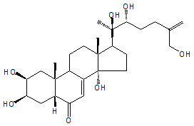 25,27-DEHYDROINOKOSTERONE