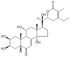 11-HYDROXY-24-DEHYDRO-CAPITASTERONE