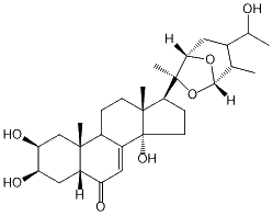 AJUGACETALSTERONE E