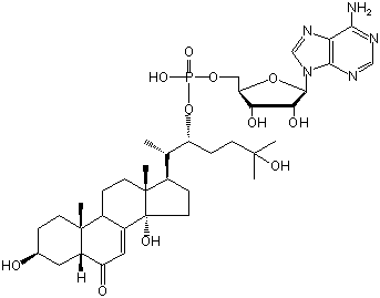 2-DEOXYECDYSONE 22-ADENOSINE-MONOPHOSPHATE