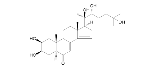5α-STACHYSTERONE B