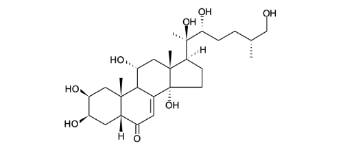 11α-HYDROXY-25R-INOKOSTERONE