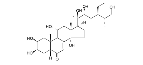 11α-HYDROXY-24R,25R-AMARASTERONE A