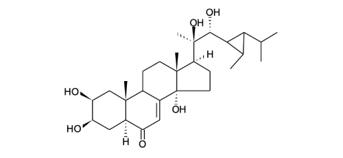 POLYPORUSTERONE II