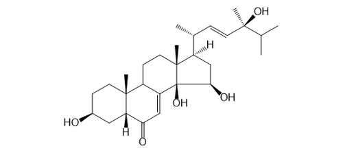 POLUMROID B