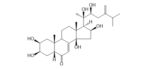 POLUMROID C
