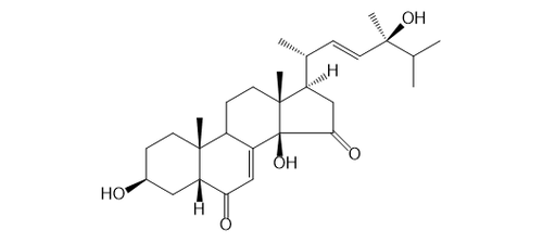 POLUMROID A