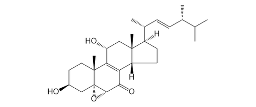 POLUMROID J