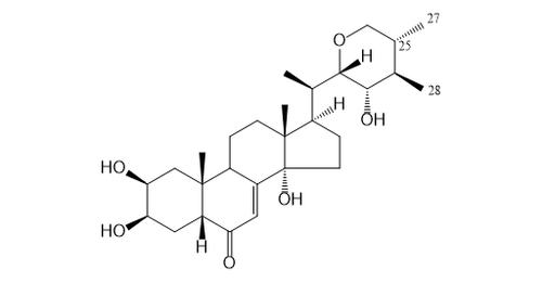 POLUMROID H