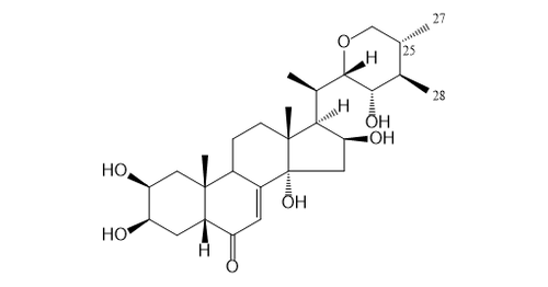POLUMROID I
